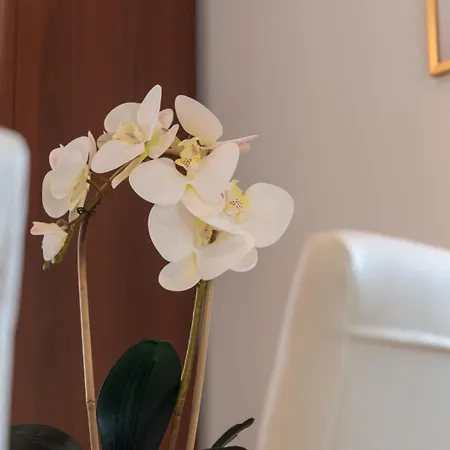 Apartment Anita